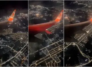 Comandante informa todos os passageiros que caranguejos invadiram a pista de aterragem