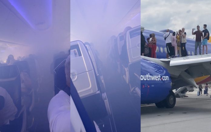 Passageiros de avião entram em pânico após colisão com pássaros