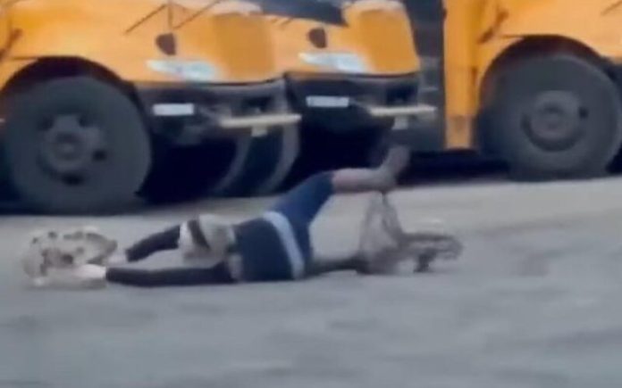 Porquinho é apanhado por mulher após estar em fuga durante 3 dias