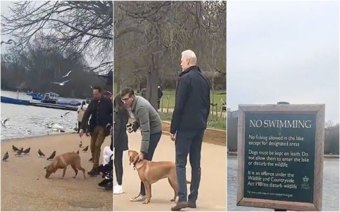 Primeiro-ministro do Reino Unido foi advertido pela polícia por passear cão sem trela