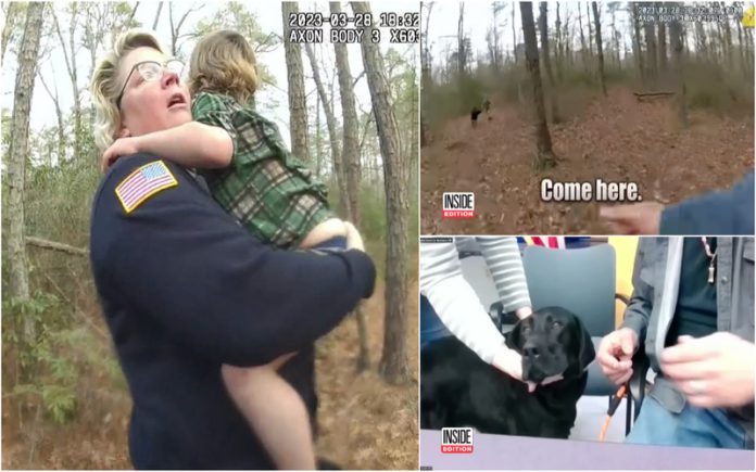 Criança perdida é encontrada com cão que esteve sempre ao seu lado