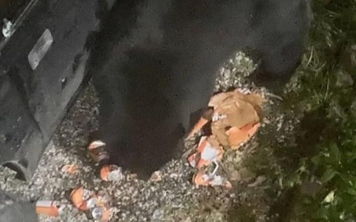Urso invade carro e bebe 69 latas de refrigerante