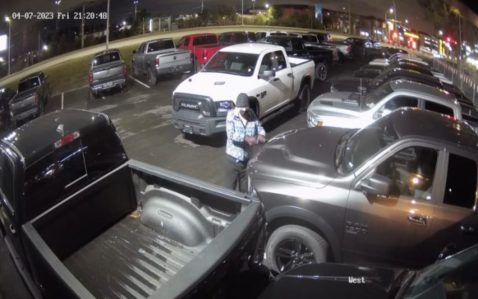 Mulher é procurada pela polícia após vandalizar mais de 400 carros em stands de automóveis