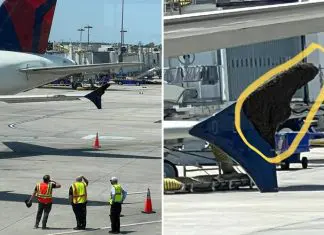 Voo atrasa por 3 horas devido a enxame de abelhas na asa do avião