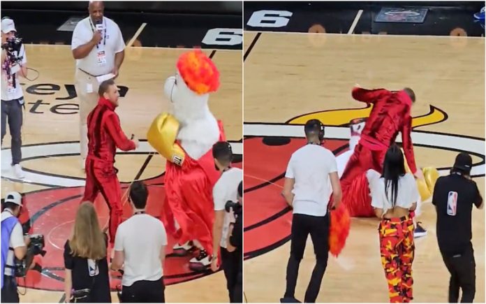 Conor McGregor surpreende ao dar dois socos na mascote dos Miami Heat