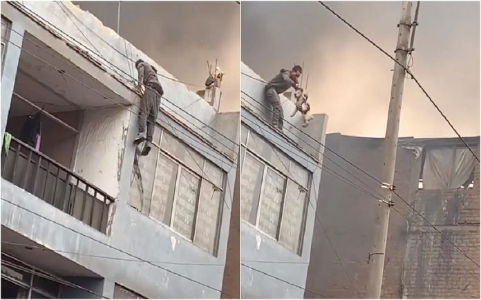 Ato heróico: Sem-abrigo arrisca a vida para salvar 25 cães de prédio em chamas