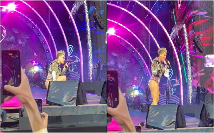 Momento surpreendente: Fã atira as cinzas da mãe para o palco e deixa a cantora Pink incrédula