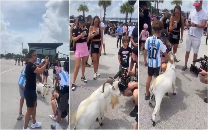 Bode inusitado marca presença na apresentação de Lionel Messi no Inter Miami
