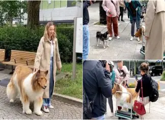 Japonês realiza sonho de ser um cão e sai às ruas pela primeira vez