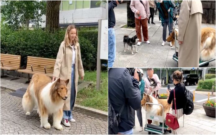 Japonês realiza sonho de ser um cão e sai às ruas pela primeira vez