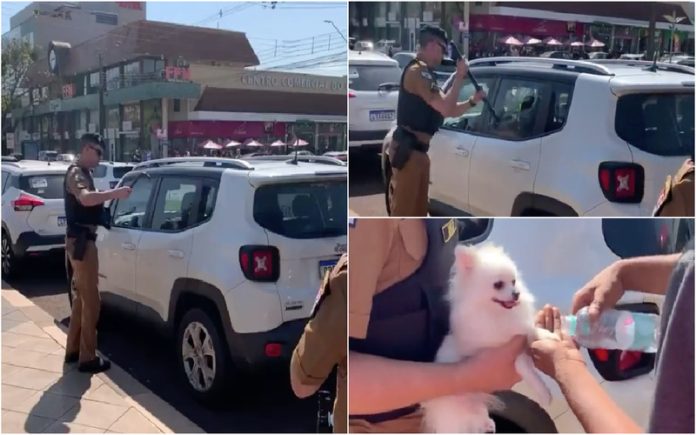 Cão é resgatado pela polícia após ficar fechado num carro