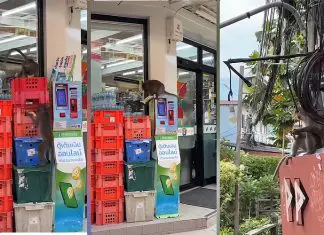 Bando de macacos selvagens ataca supermercado na Tailândia em roubo insólito de bananas