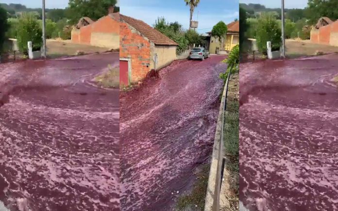 Diluvio Alcoólico_ 2,2 milhões de litros de vinho deixam ruas de Coimbra de vermelho