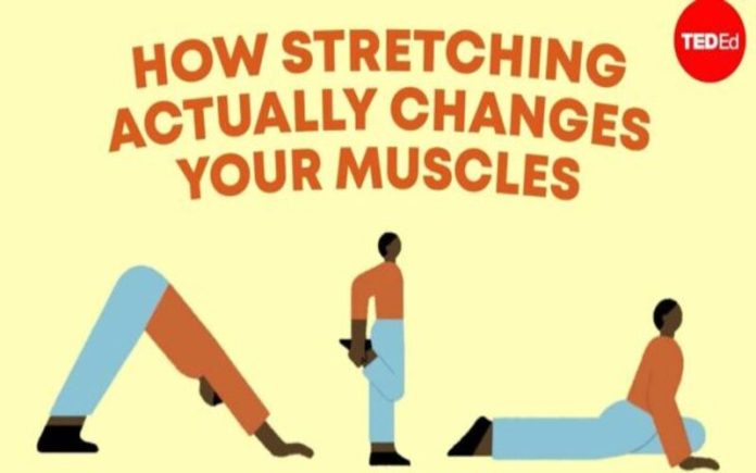 A flexibilidade no desporto: Alongar para prevenir lesões