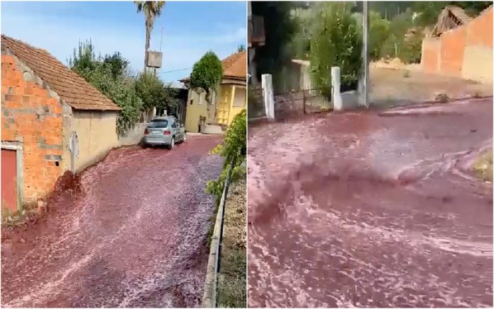 Inundação de vinho tinto assusta moradores em Anadia