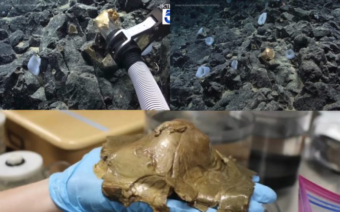 Mistério_ _ovo dourado_ encontrado no fundo do oceano