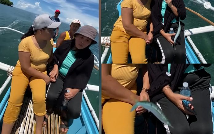 Peixe voador salta para o barco e rouba o telemóvel de uma mulher