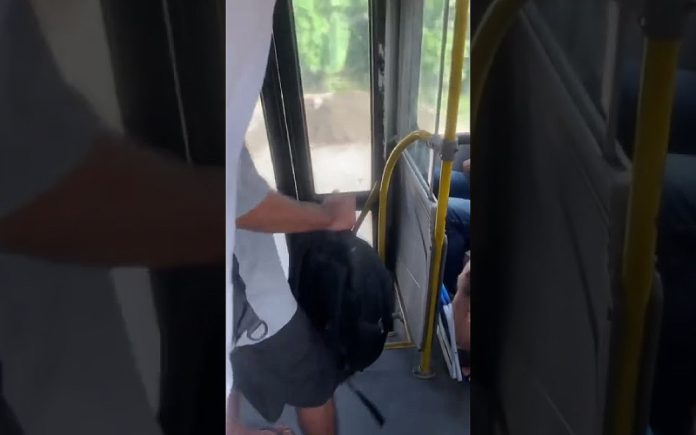 Rato aparece em autocarro e coloca passageiros em pânico total