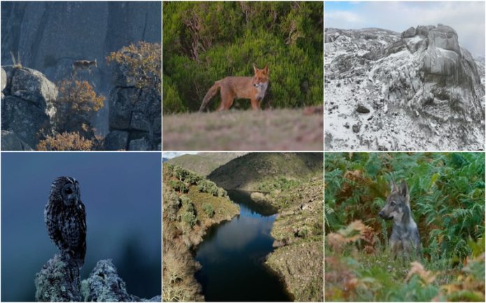 Videógrafo de natureza registou imagens íncriveis do Parque Nacional da Peneda-Gerês