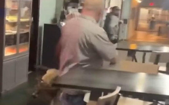Cervo invade restaurante e deixa clientes desesperados