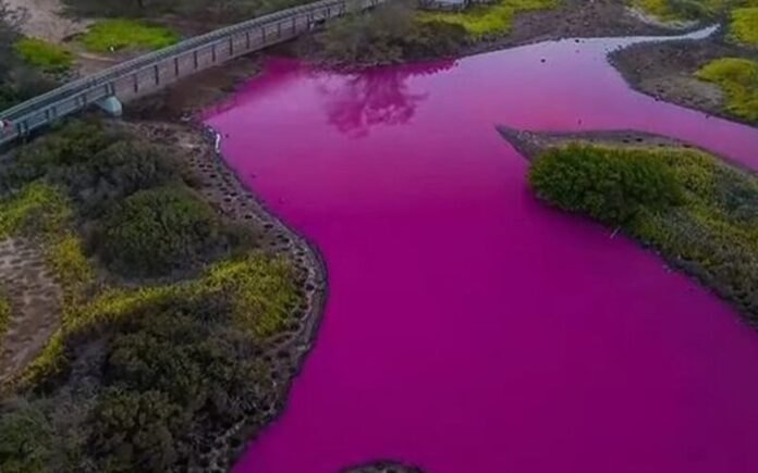 condicoes-de-seca-sao-responsaveis-por-lago-rosa-no-havai