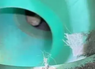 Gatinho é resgatado do sistema de drenagem em um shopping