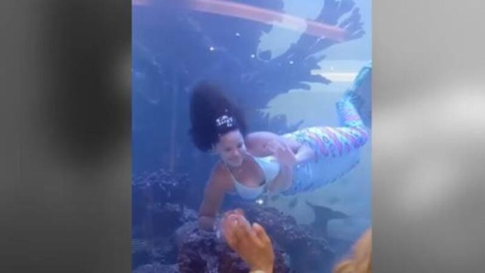 Sereia afoga-se enquanto actua para crianças na África do Sul