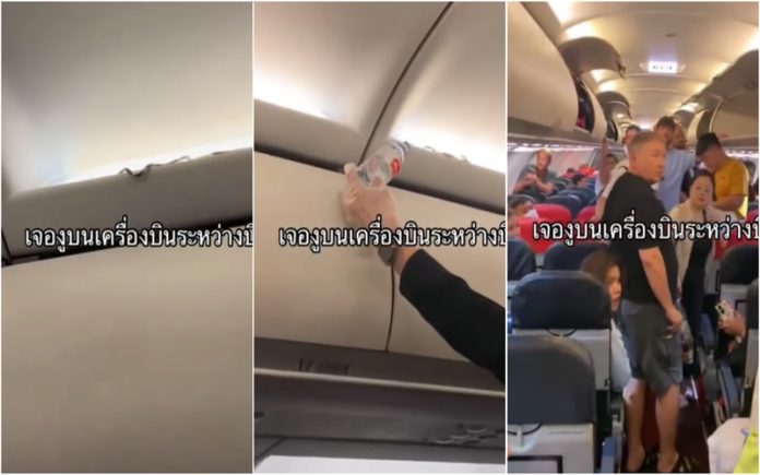 Cobra aparece no compartimento de bagagens em pleno voo e causa o caos