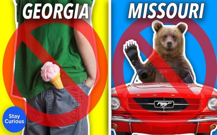 Leis ridículas nos Estados Unidos Conheça algumas das leis