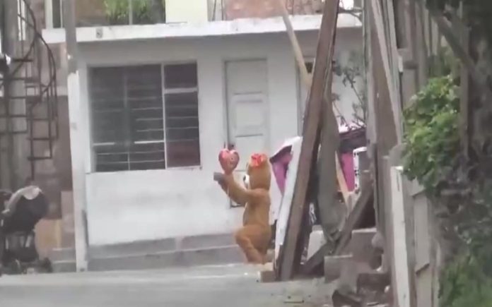 Polícia disfarçou-se de urso no Dia dos Namorados para apanhar traficantes