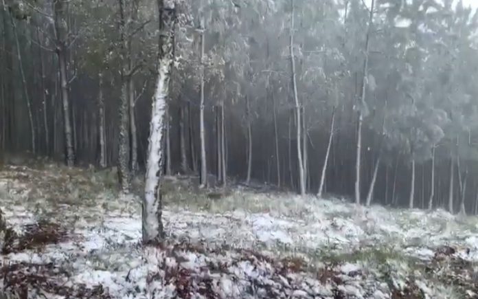 Alto Alentejo pintado de branco Neve cobriu a Serra de São Mamede