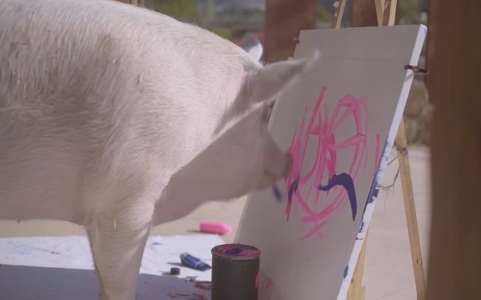 Morreu a porquinha pintora que vendeu quase um milhão de euros em quadros