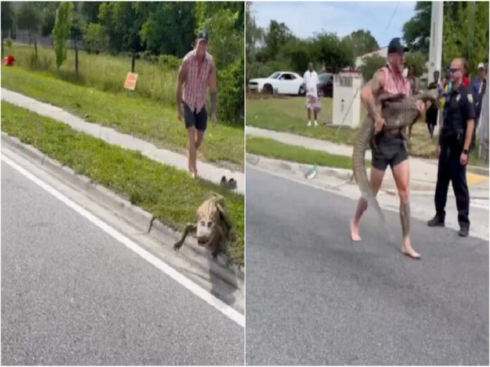 Homem captura na rua um crocodilo com mais de dois metros