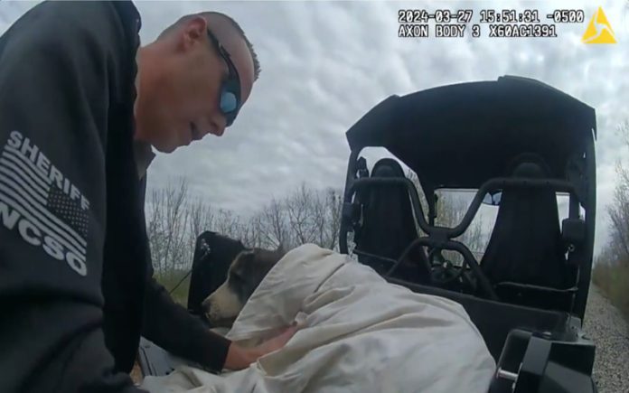 Polícia salva cão que ficou preso numa linha do comboio