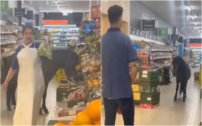 Pónei invade supermercado Lidl em Sintra e come legumes