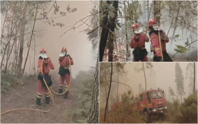 Espanha reforça combate aos incêndios em Portugal com bombeiros e meios aéreos