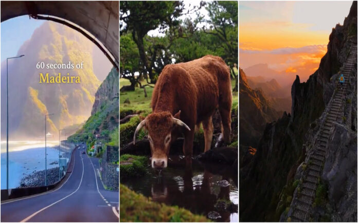 Ilha da Madeira em destaque com paisagens de cortar a respiração na página “Nature is Amazing”