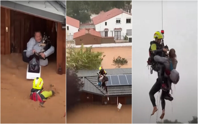 Resgate dramático em Valência Mulher e cão salvos após tempestade DANA