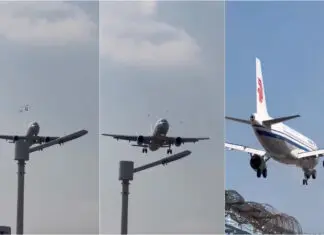 Airbus A320 colide com bando de aves durante aterragem