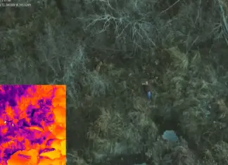 Drone com câmara térmica resgata cão desaparecido após 16 dias de buscas