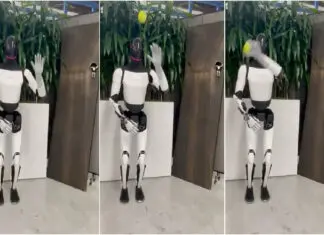 Robô Optimus da Tesla surpreende com habilidade em vídeo partilhado por Elon Musk