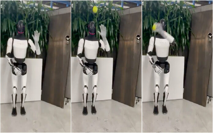 Robô Optimus da Tesla surpreende com habilidade em vídeo partilhado por Elon Musk