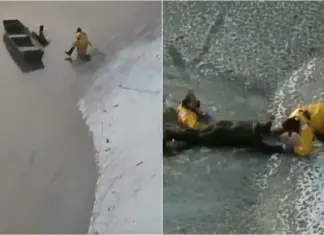 Dono e cão resgatados após queda em lago gelado nos EUA