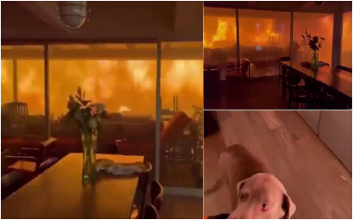 Homens registam momento de desespero cercados por chamas em Los Angeles