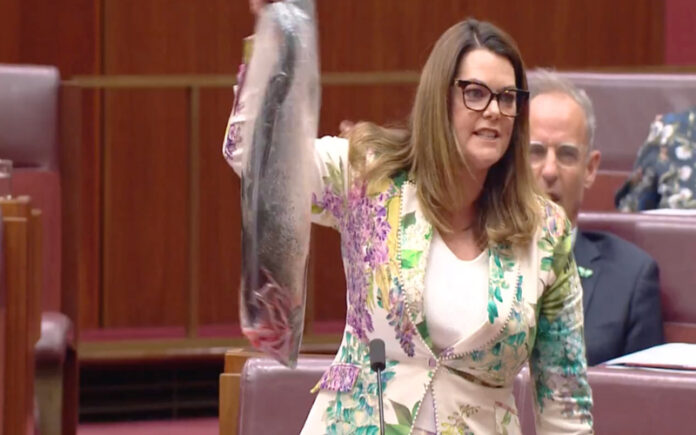 Deputada australiana protesta no parlamento com um salmão morto