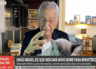 Gata invade emissão da GloboNews e rouba protagonismo em direto