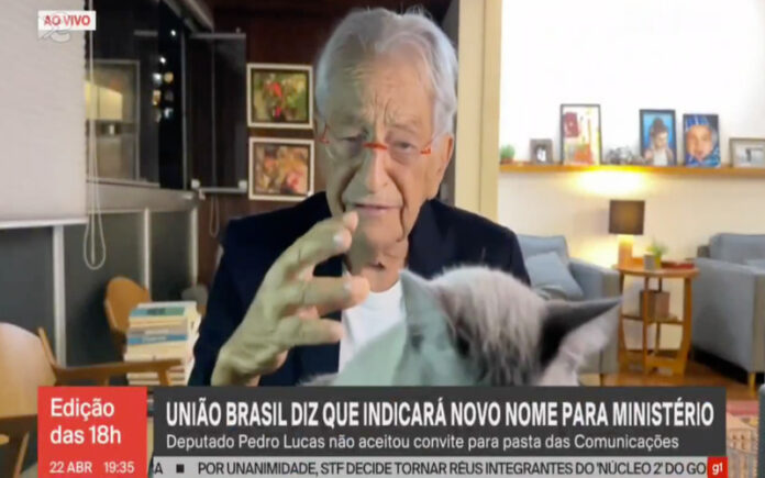 Gata invade emissão da GloboNews e rouba protagonismo em direto