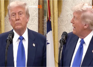 Trump reage a imagem gerada por IA: “Os católicos adoraram”