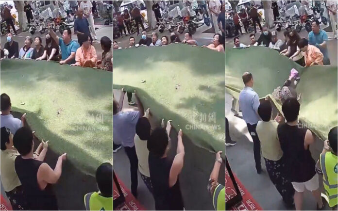 Salto salvador idosa de 102 anos resgatada por vizinhos em ato heróico