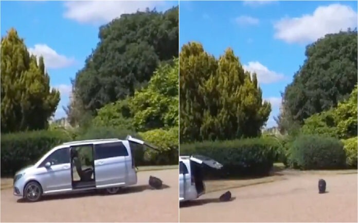 Comitiva de Macron abandona Windsor, mas esquece-se da bagagem